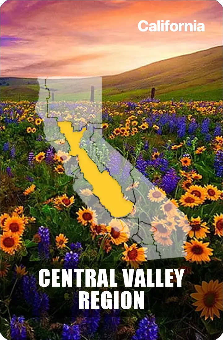 Central Valley Region